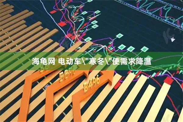 海龟网 电动车＂寒冬＂使需求降温