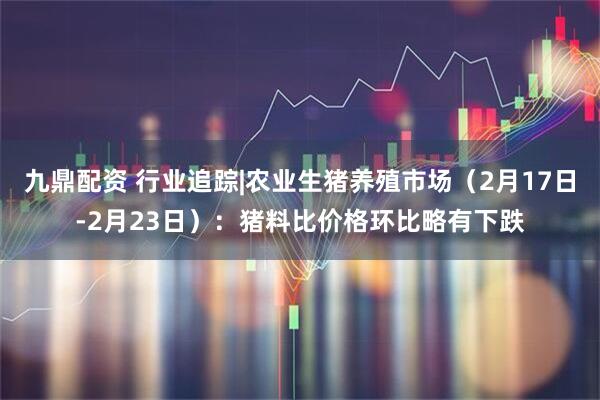 九鼎配资 行业追踪|农业生猪养殖市场（2月17日-2月23日）：猪料比价格环比略有下跌