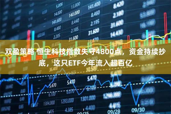 双盈策略 恒生科技指数失守4800点，资金持续抄底，这只ETF今年流入超百亿