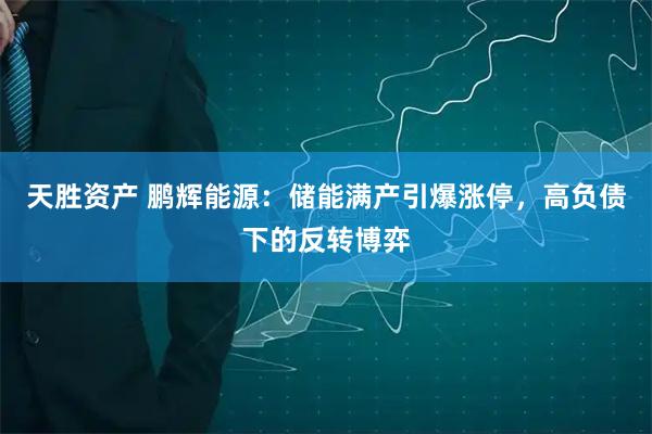 天胜资产 鹏辉能源：储能满产引爆涨停，高负债下的反转博弈