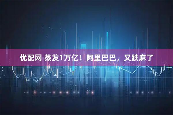 优配网 蒸发1万亿！阿里巴巴，又跌麻了