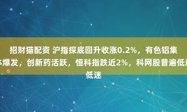 招财猫配资 沪指探底回升收涨0.2%，有色铝集体爆发，创新药活跃，恒科指跌近2%，科网股普遍低迷
