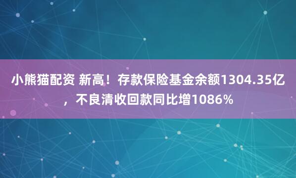 小熊猫配资 新高！存款保险基金余额1304.35亿，不良清收回款同比增1086%