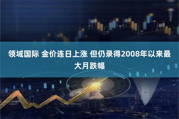 领域国际 金价连日上涨 但仍录得2008年以来最大月跌幅