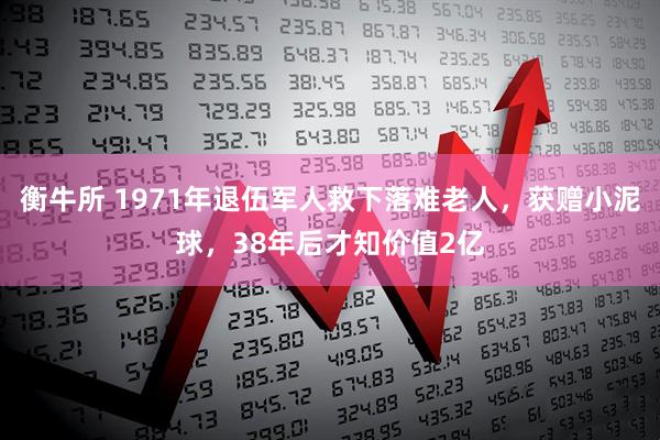 衡牛所 1971年退伍军人救下落难老人，获赠小泥球，38年后才知价值2亿