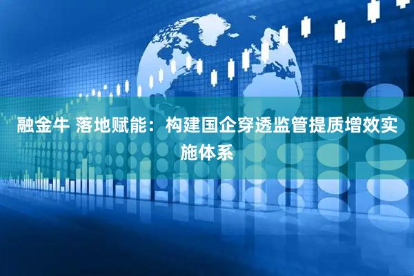 融金牛 落地赋能：构建国企穿透监管提质增效实施体系