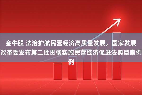 金牛股 法治护航民营经济高质量发展，国家发展改革委发布第二批贯彻实施民营经济促进法典型案例