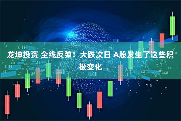 龙坤投资 全线反弹！大跌次日 A股发生了这些积极变化