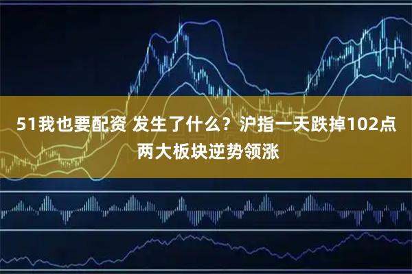 51我也要配资 发生了什么？沪指一天跌掉102点 两大板块逆势领涨