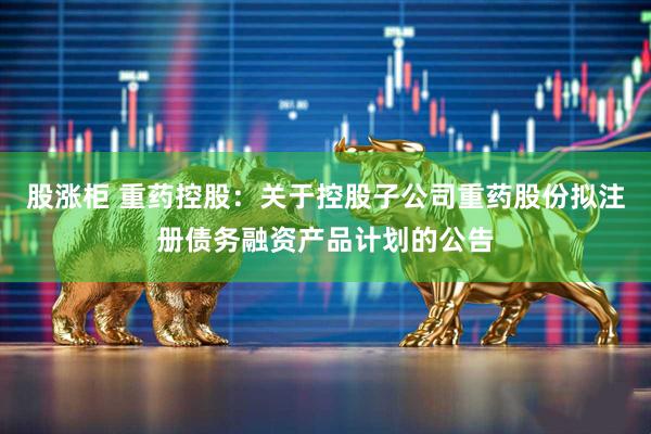 股涨柜 重药控股：关于控股子公司重药股份拟注册债务融资产品计划的公告