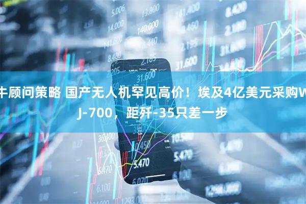 牛顾问策略 国产无人机罕见高价!埃及4亿美元采购WJ-700,距歼-35只差一步