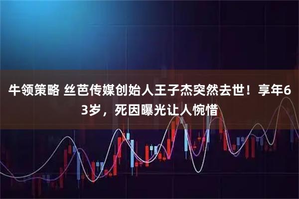牛领策略 丝芭传媒创始人王子杰突然去世！享年63岁，死因曝光让人惋惜