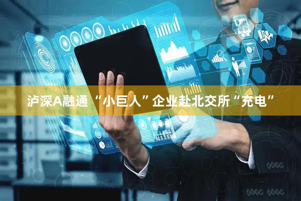 泸深A融通 “小巨人”企业赴北交所“充电”