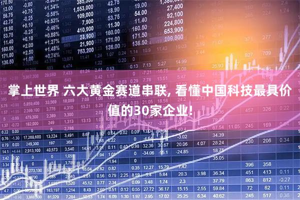掌上世界 六大黄金赛道串联, 看懂中国科技最具价值的30家企业!
