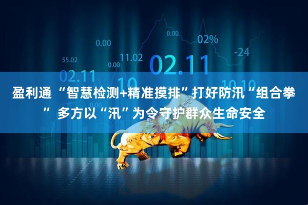 盈利通 “智慧检测+精准摸排”打好防汛“组合拳” 多方以“汛”为令守护群众生命安全