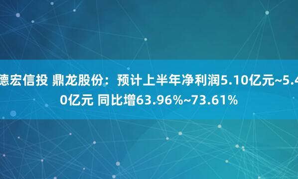 德宏信投 鼎龙股份：预计上半年净利润5.10亿元~5.40亿元 同比增63.96%~73.61%