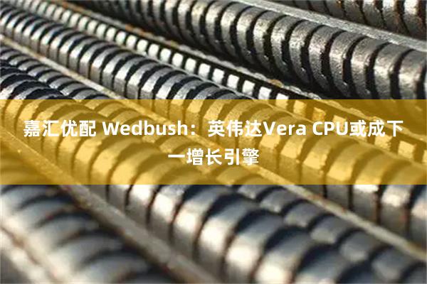 嘉汇优配 Wedbush：英伟达Vera CPU或成下一增长引擎