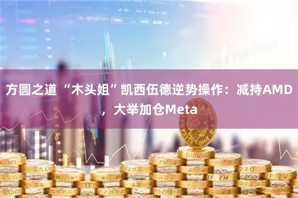 方圆之道 “木头姐”凯西伍德逆势操作：减持AMD，大举加仓Meta