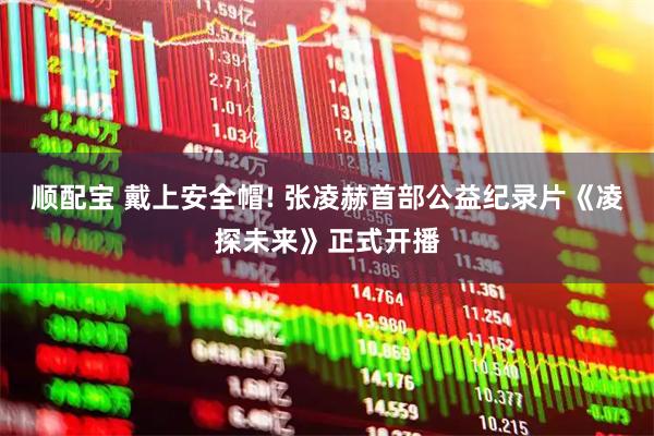 顺配宝 戴上安全帽! 张凌赫首部公益纪录片《凌探未来》正式开播